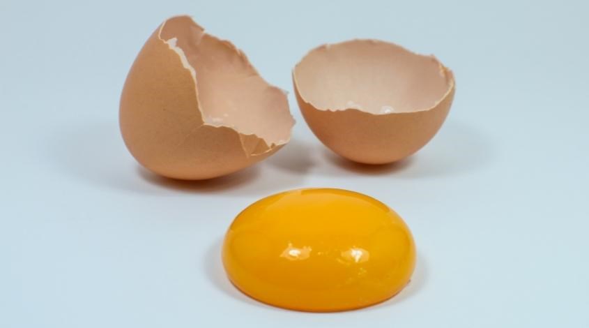 Trứng gà có độ nhớt và chất tẩy tự nhiên nên sẽ đánh bay vết cà phê trên áo